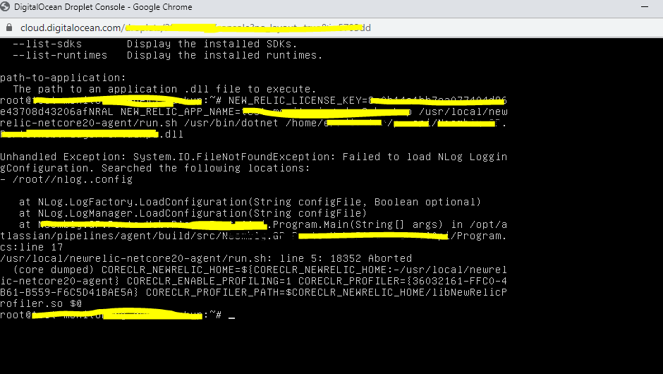 new relic explorers hub